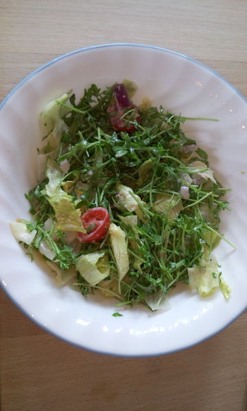 File:Salad with cress.jpg