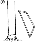 Thumbnail for version as of 01:26, 6 January 2007