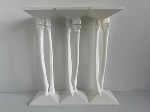 3D Printed Pediatric Female Forearm Bone Models (White PLA) 1-6.jpg