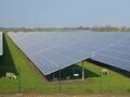 Cuộc điều tra đầu tiên về quan điểm của ngành nông nghiệp về cơ hội và rào cản đối với điện năng lượng mặt trời
