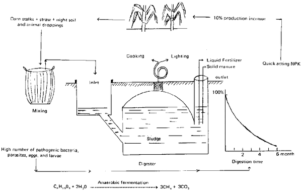 File:80434E1X.GIF