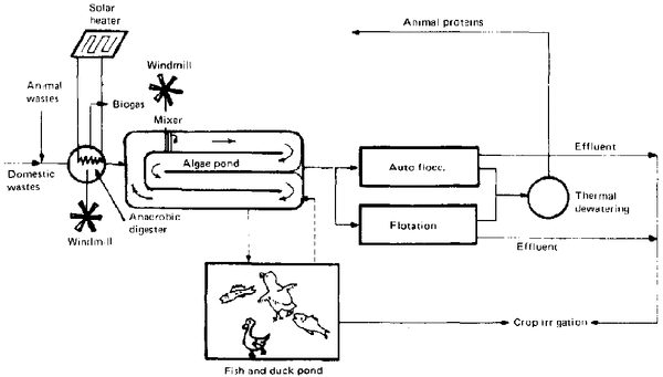 File:80434E2A.GIF
