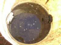 Figure 10 - This picture illustrates the presence of standing water found in the surge tank. Photo by Ben Stern