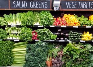Salad greens and vegetables.jpg