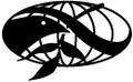 Thumbnail for version as of 08:52, 3 March 2008