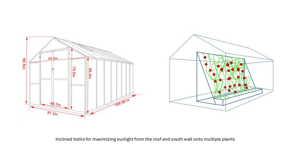 File:Inclined trellis.jpg