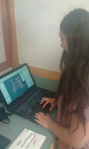 300px-Lilly_Creating_Prototype.jpg