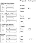 Thumbnail for version as of 01:25, 6 January 2007