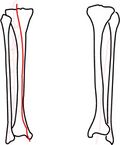 Thumbnail for version as of 16:01, 27 October 2022