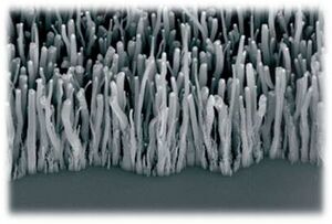 Nanotube1.jpg