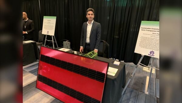 File:Nima-asgari---london---nov-2023-1-.jpg