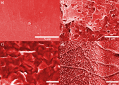 Vacuum Outgassing Characteristics of Unpigmented 3-D Printed Polymers Coated with ALD Alumina