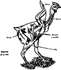 Thumbnail for version as of 15:19, 11 May 2007