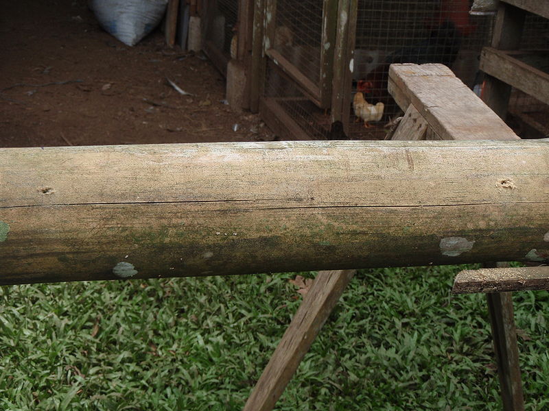 File:Bamboo Planter drain holes.jpg