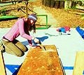 cutting scrap plywood