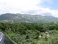 Deforestation in Haiti