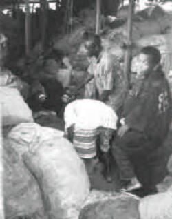 250px-Plastics_recovery_manual_4_image_4.jpg