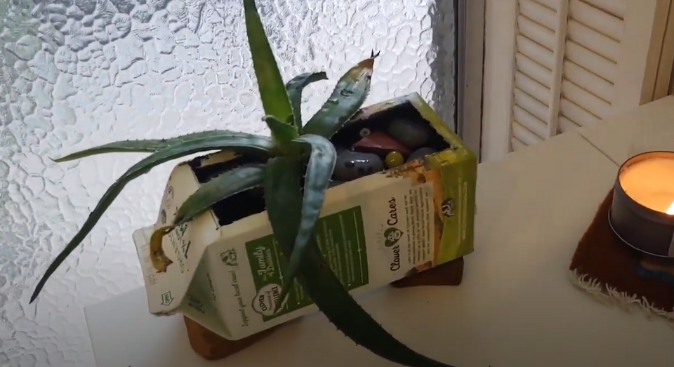 File:TOD Milk Carton Planter.png