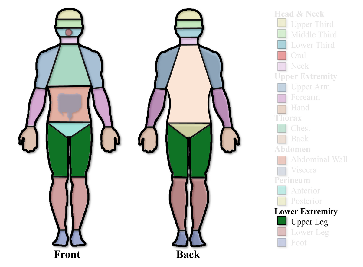 Lower Extremity Flaps: Upper Leg