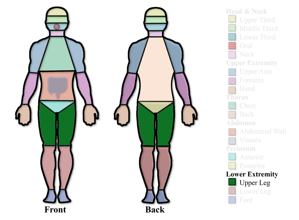 File:Upper Leg Region.png