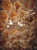 120px-Mush15.JPG