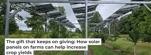 The gift that keeps on giving: How solar panels on farms can help increase crop yields