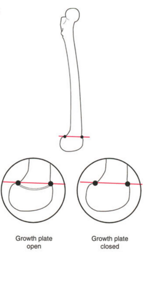 File:Fig. 4f.png