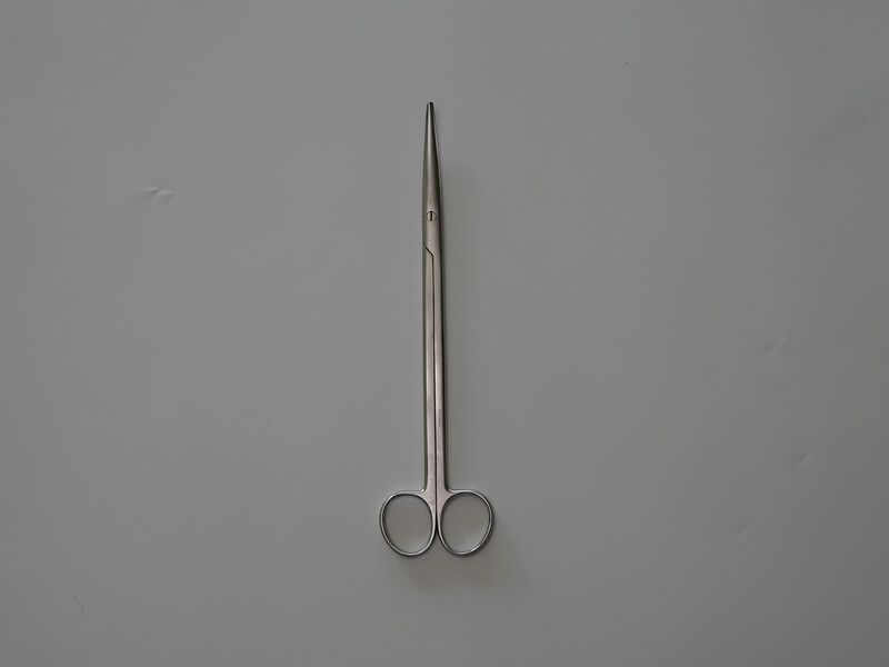 File:Dissecting Scissors.jpg