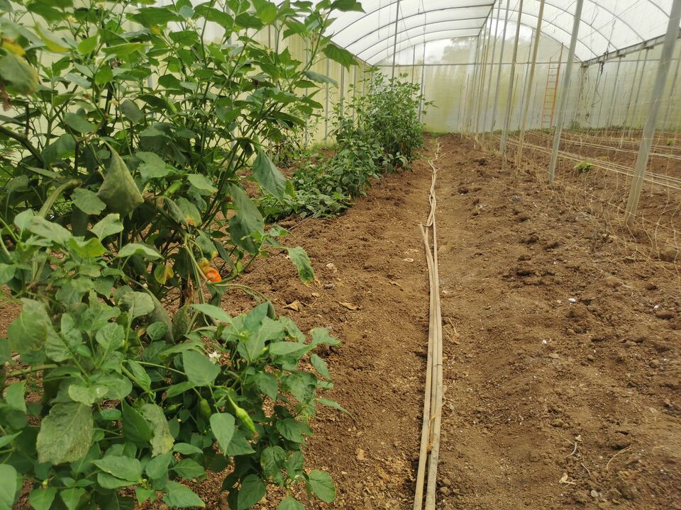 File:ECOFINCA4.jpg