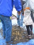 Thumbnail for version as of 01:12, 9 May 2006