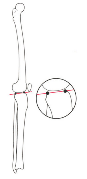 File:Fig. 4e.png