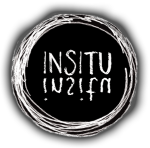 Logo insitu.png