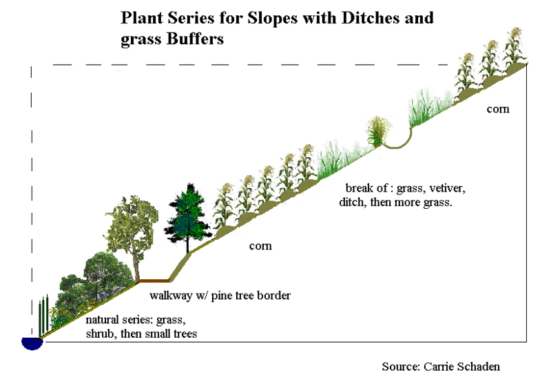 File:Plant Series buffers and ditches.GIF