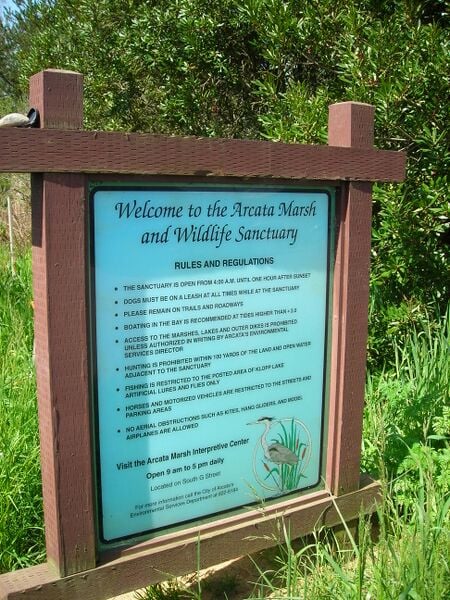 File:Rulesandreg.jpg