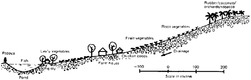 File:80434E1S.GIF