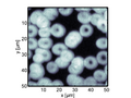 Thumbnail for version as of 14:05, 18 March 2026