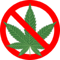 Reassessing Recreational Cannabis Cultivation Through a Sustainability Lens: Public Health Externalities and Agricultural Opportunity Costs in Canada