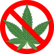 Reassessing Recreational Cannabis Cultivation Through a Sustainability Lens: Public Health Externalities and Agricultural Opportunity Costs in Canada