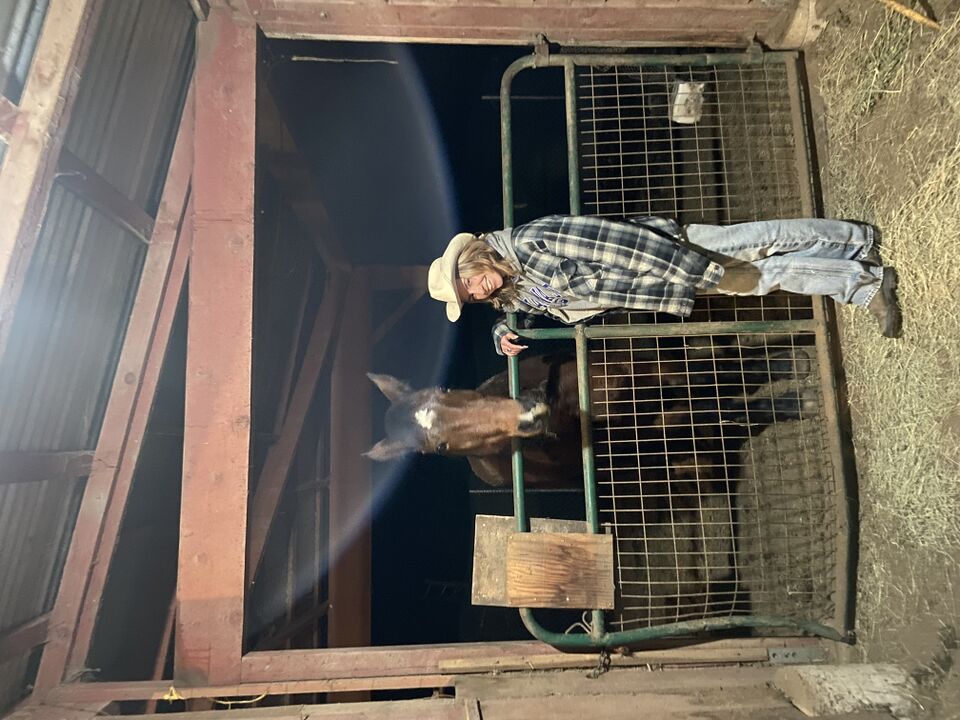 File:Horse gal.jpg