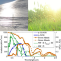 Effects of snow and grass spectral albedo on silicon solar cell performance