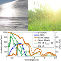 Effects of snow and grass spectral albedo on silicon solar cell performance