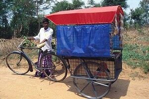 Bicycle trailers ministore.jpg