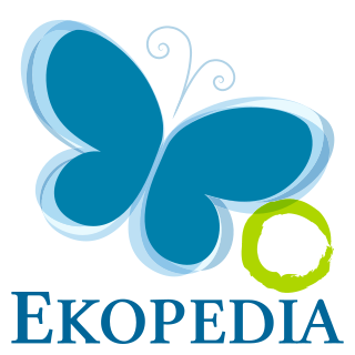 File:Logo ekopedia int.svg