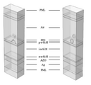 Enhancement of hydrogenated amorphous silicon solar cells with front-surface hexagonal plasmonic arrays from nanoscale lithography