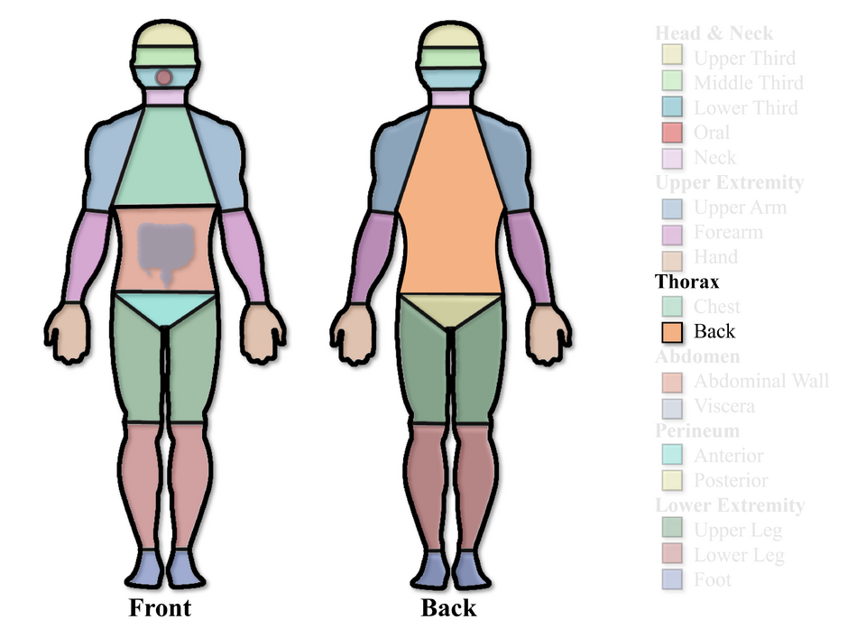 File:Back Region.png