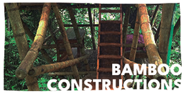 대나무 건축-homepage.png
