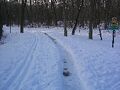 Thumbnail for version as of 19:04, 11 January 2007