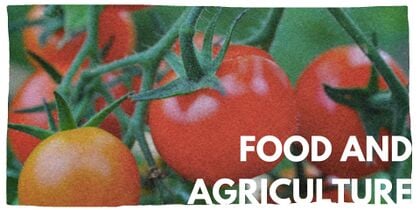 Food and agriculture homepage.jpg