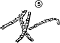 Thumbnail for version as of 01:26, 6 January 2007