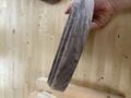 A decorative edge cut on the circles with a router table